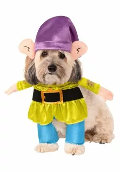 Rubies Costume Co. Inc Disney Dog Costume- Dopey