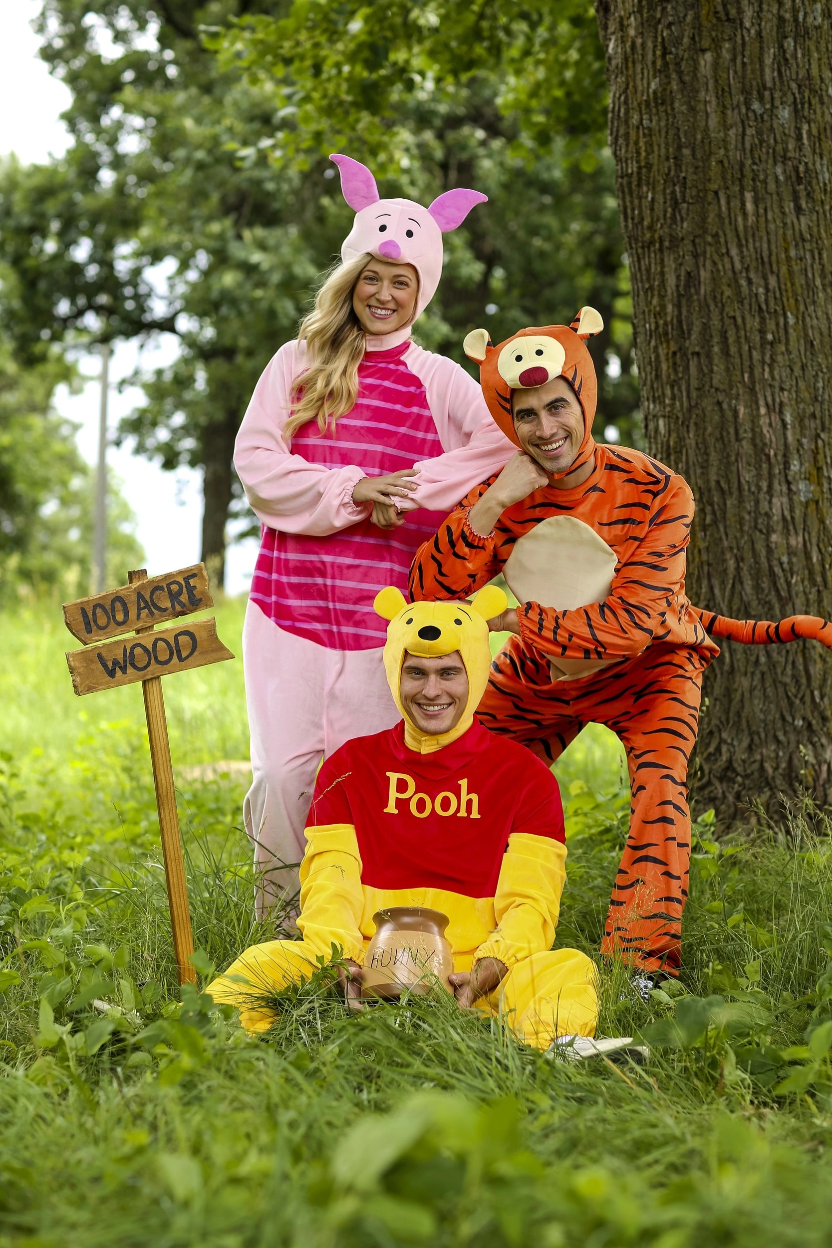Disguise Limited Deluxe Winnie The Pooh Tigger Costume For Adults - Image 4
